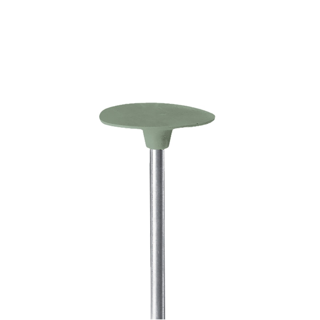 EVE® Poly Polishers EVEFLEX 19x0.5mm Floppy Disc Green Fine Grit - 3/32" Shank (Pkg. of 10)