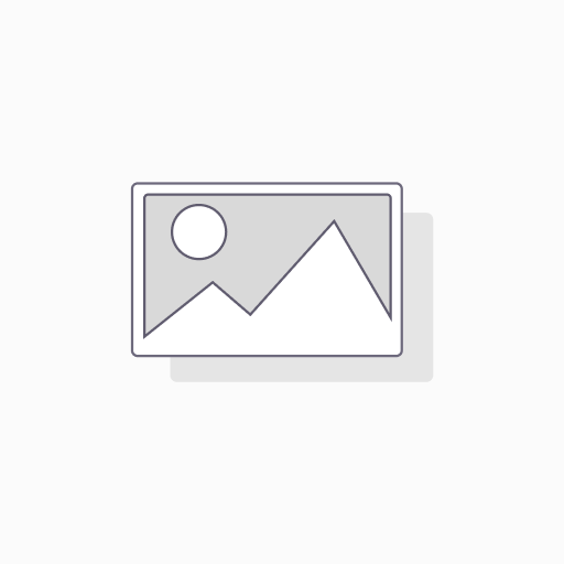 Repl. Air Foot Pedal Only for Reimers JR and Auto 6 Steamers